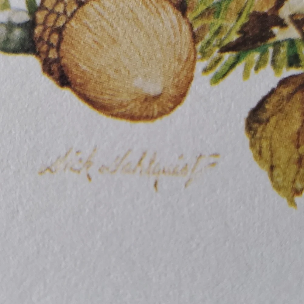 Vintage Current Birthday Greetings Card
